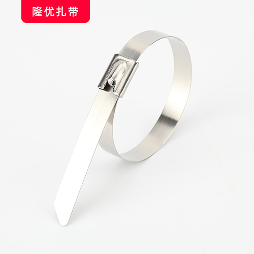自鎖式不銹鋼扎帶